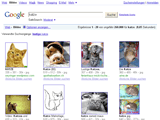 Google-Bildersuche: Katze Google-Bildersuche: Katze