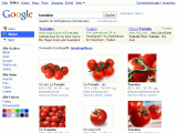 Google-Bildersuche mit Werbung