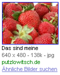 Google Bildersuche: Erdbeeren Groß- Kleinschreibung