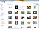 Bing-Bildersuche mit site-Parameter