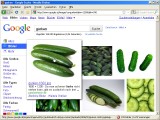 google.at mit neuer Bildersuche