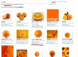 Bildersuche - Orange auf Platz 8