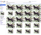 Google Bildersuche: Weitere Größen - Katze