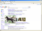 Google - Bilder in  der Universalsearch mit Hover