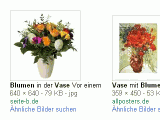 Blumen Bilder SERPs