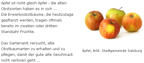Salzburg - Äpfel
