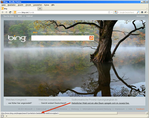 Bing-Startseite: Herbst See