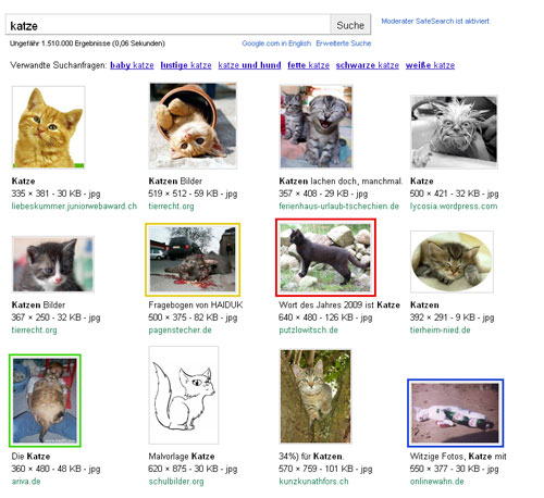 Google-Bildersuche: Katze im Mai 2011