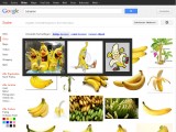 Google Bildersuche - Vorschau auf verwandte Suchanfragen
