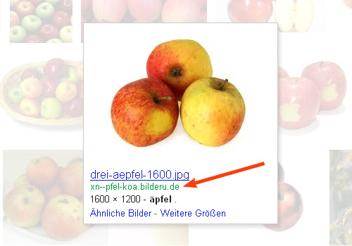 Google Bildersuche IDN Äpfel