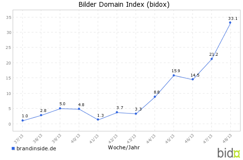 Bidox 48/2013 - brandinside.de