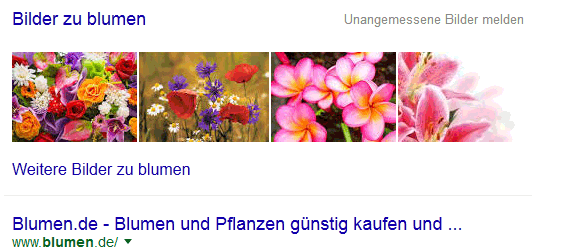 Google-Bilderbox: Blumen